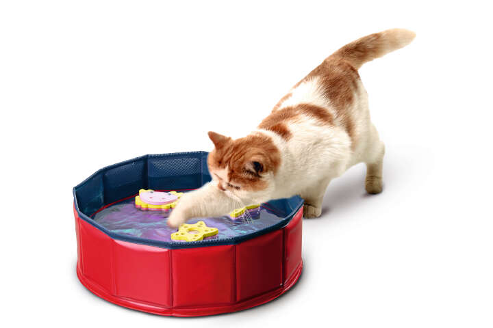 beeztees Katzen Spielpool Splash